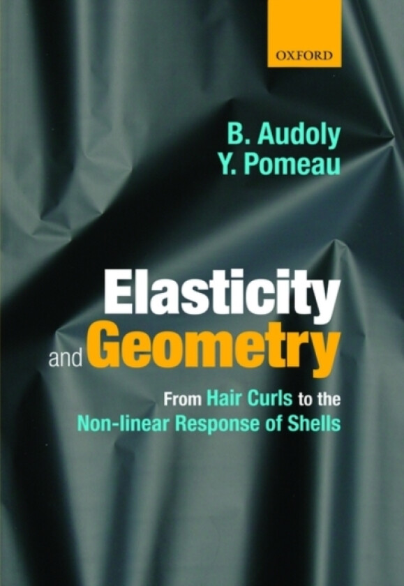 Elasticity and Geometry av Basile Audoly, Yves Pomeau (Hardcover)