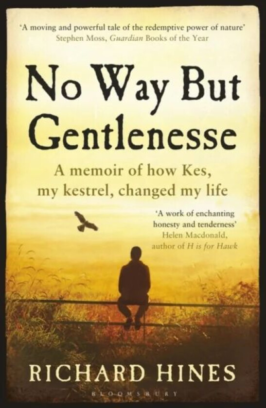 No Way But Gentlenesse av Richard Hines