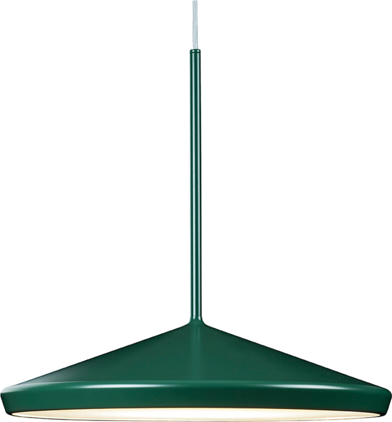 Ginko Taklampa, Tallgrön