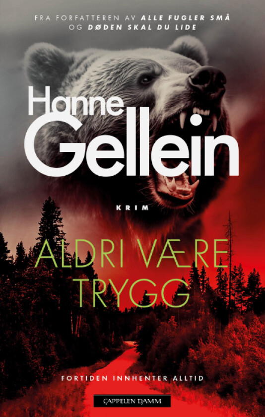 Aldri være trygg av Hanne Gellein