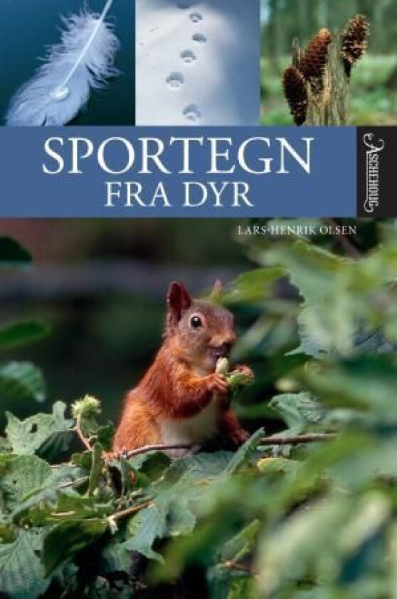 Sportegn fra dyr av Lars-Henrik Olsen