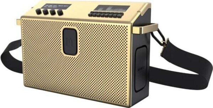 by Defunc - BT Speaker Large Gold/Black