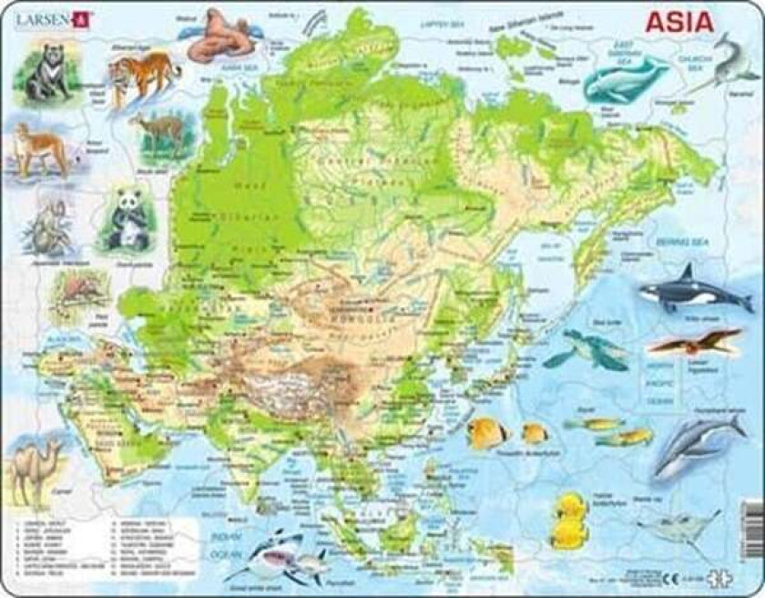 Asia Topographical Map Jigsaw Puzzle - 63 pieces Maxi (36.5 x 28.5 cm) 2D Puslespill