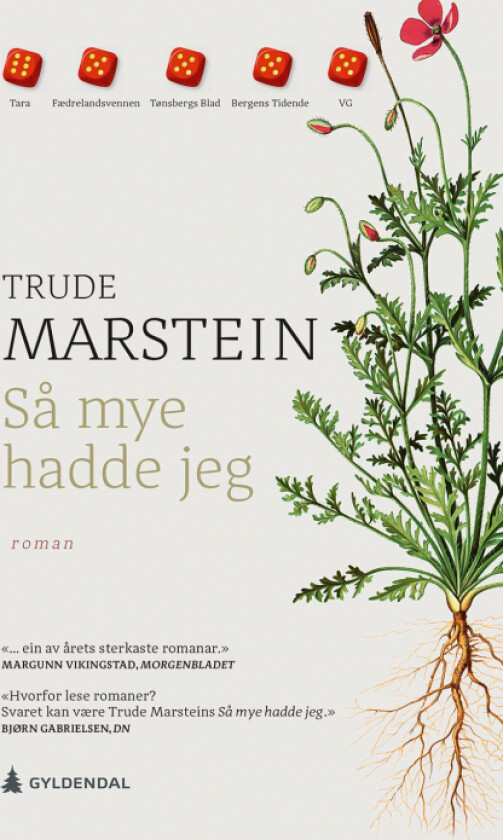 Så mye hadde jeg av Trude Marstein