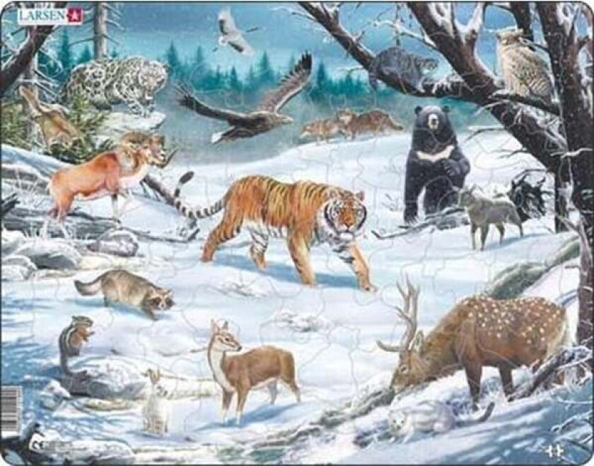 Puzzle Winter Wildlife in Siberia and Northeast Asia - 66 pieces Maxi (36.5x28.5 cm) 2D Puslespill