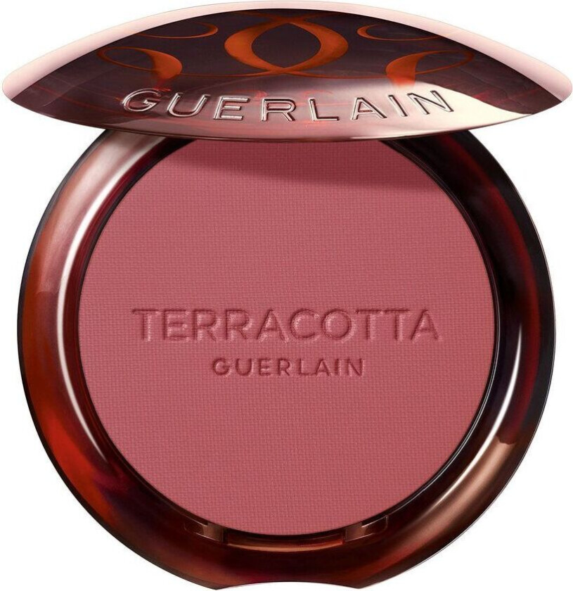 Terracotta Blush 03 5g