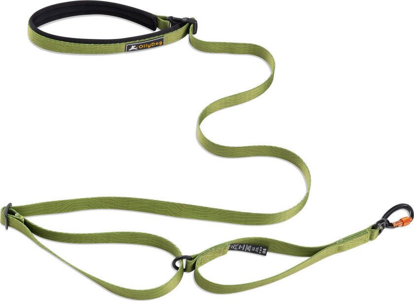 Flagstaff Adjustable Leash Cactus One Size, Cactus