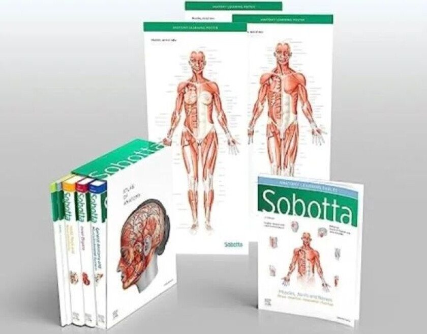 Sobotta Atlas of Anatomy, Package, 17th ed., English/Latin av Friedrich Paulsen, Jens Waschke