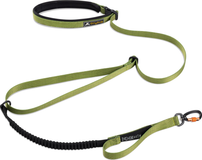Flagstaff Adjustable Spring Leash Cactus One Size, Cactus