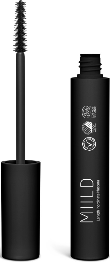 Tear-Proof Length Inordinate Mascara 01 Black