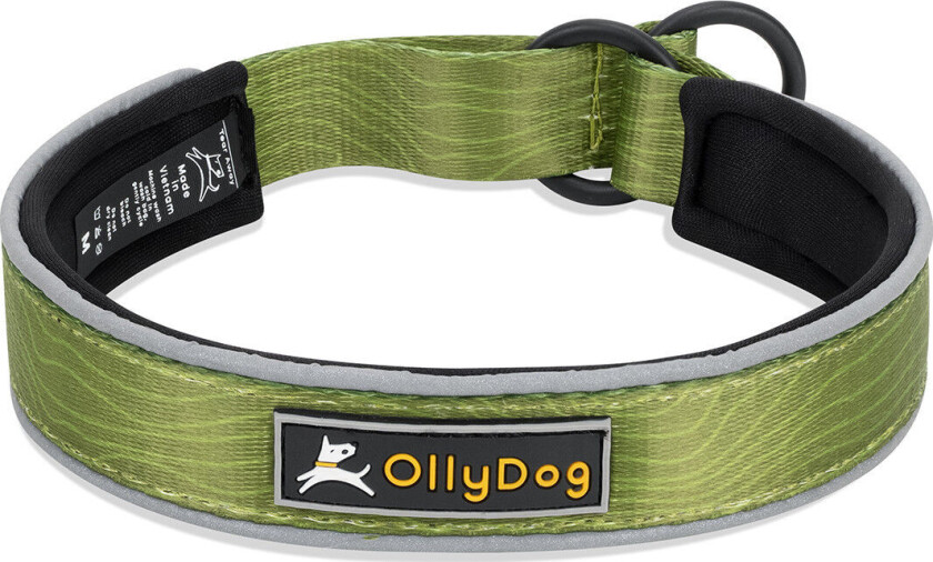 Martingale Reflective Comfort Collar Cactus L, Cactus