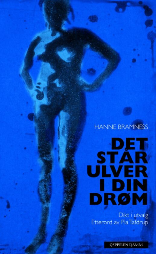 Det står ulver i din drøm av Hanne Bramness