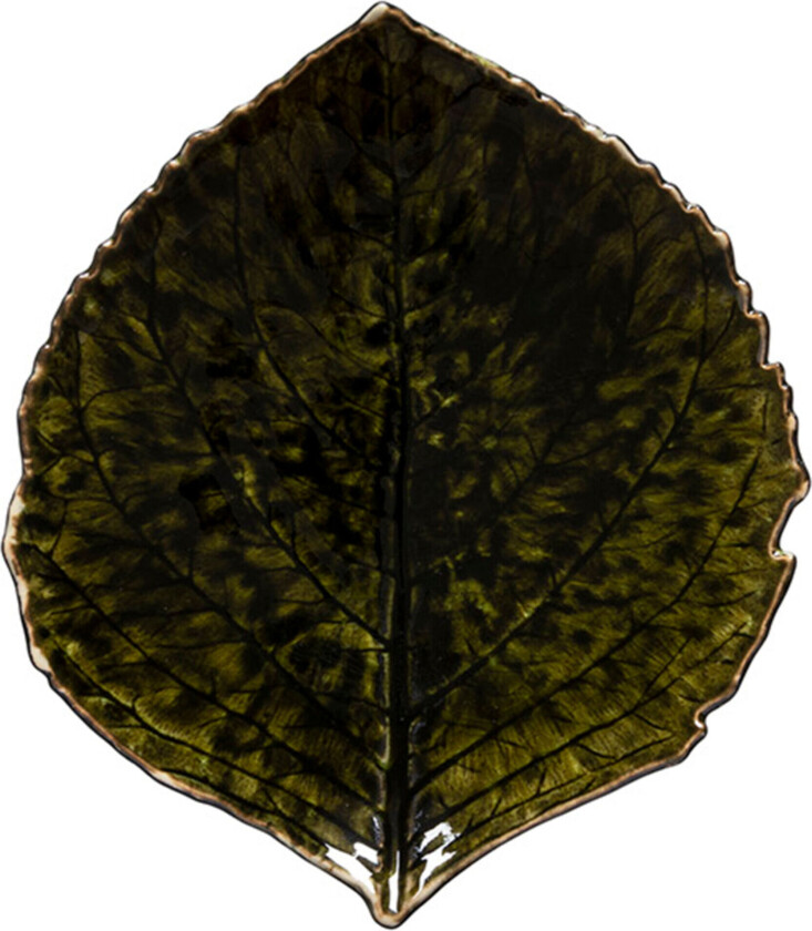 Bilde av Asiet Hydrangea leaf Riviera 17 x 15 cm Dark green/Black