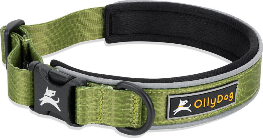 Flagstaff Reflective Comfort Collar Cactus L, Cactus