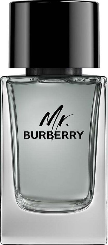 Mr. EDT 100ml Men