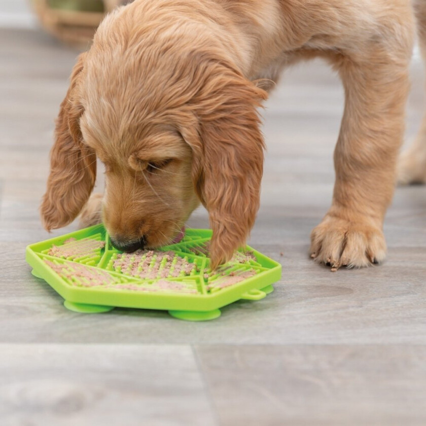 Lick'n'Snack Slikkematte Grøn 17 cm