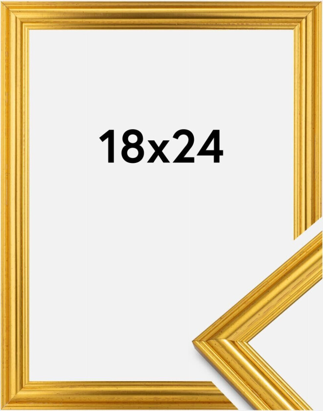 Ramme Frigg Gull 18x24 Cm