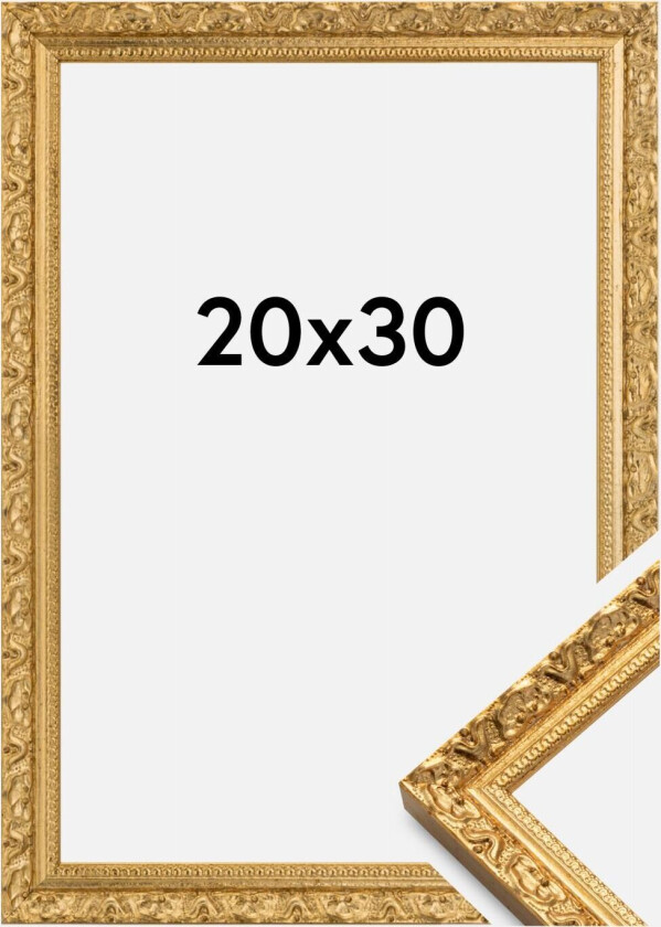 Ramme Smith Gull 20x30 Cm