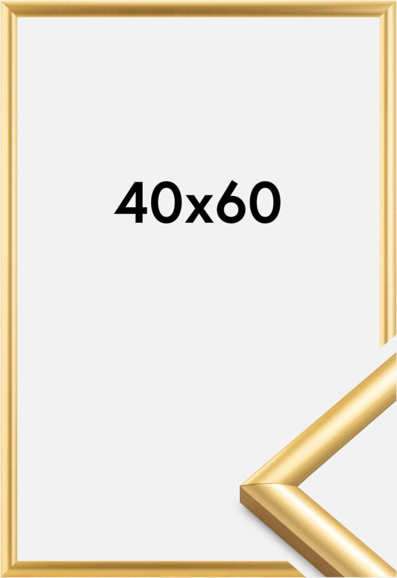 Ramme Trendstyle Gull 40x60 Cm