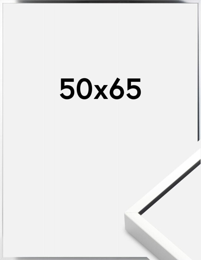 Ramme  Premium Alpha Blank Sølv 50x65 Cm