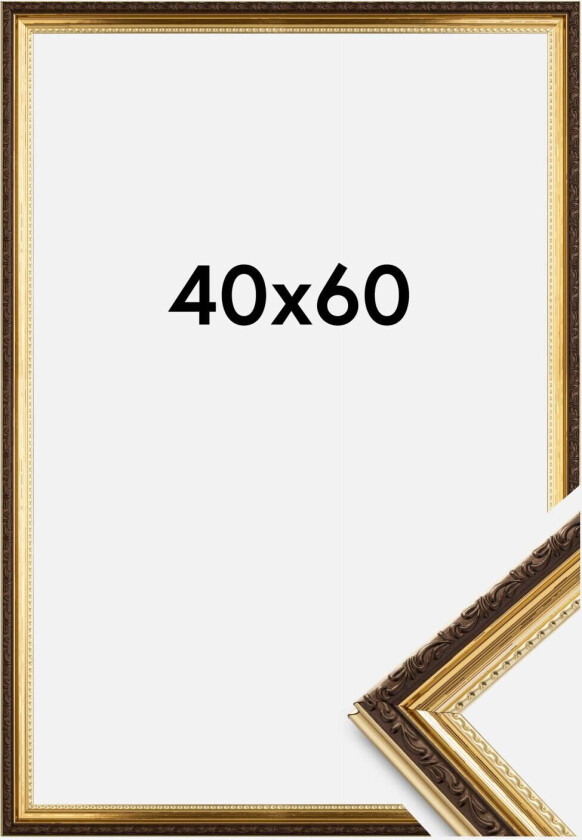 Ramme Abisko Akrylglass Gull 40x60 Cm