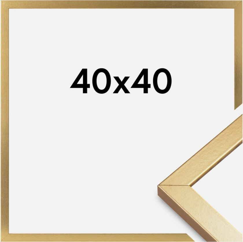 Ramme Minerva Akrylglass Gull 40x40 Cm