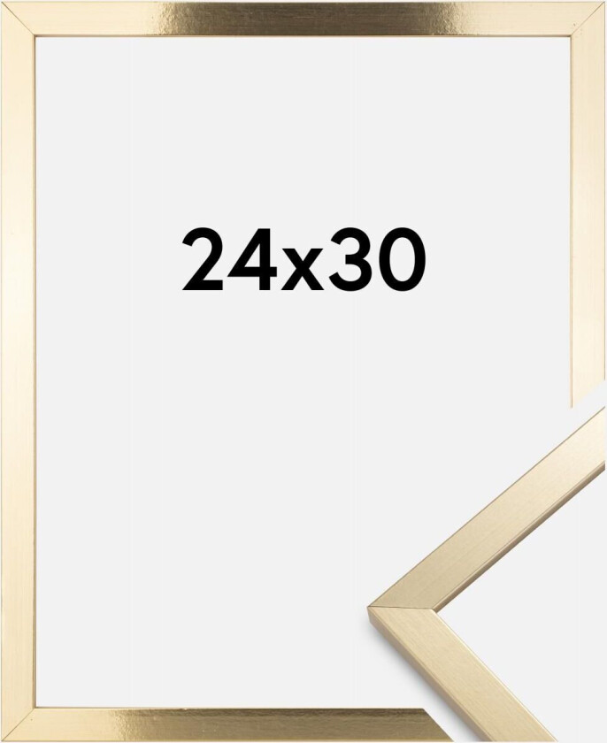 Ramme Trendy Akrylglass Gull 24x30 Cm