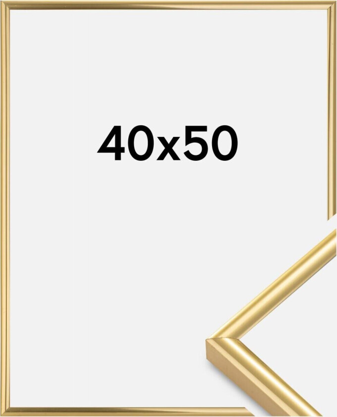 Ramme Victoria Akrylglass Gull 40x50 Cm