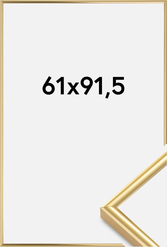 Ramme Victoria Akrylglass Gull 61x91,5 Cm