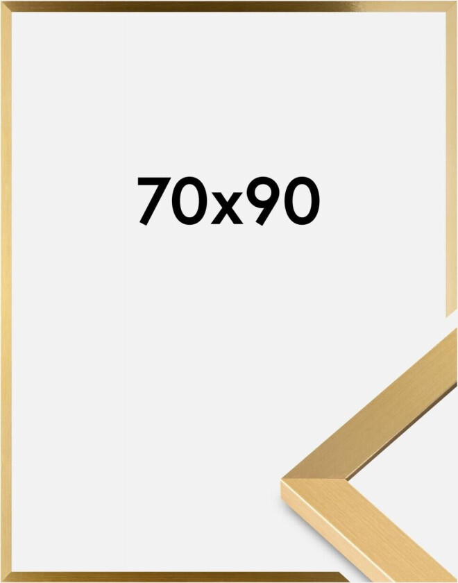 Ramme Selection Akrylglass Gull 70x90 Cm