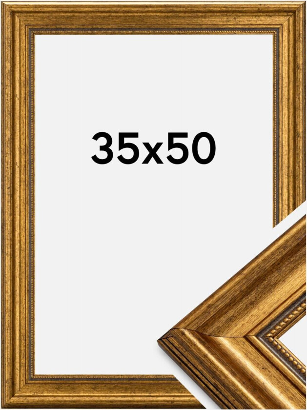 Ramme Rokoko Akrylglass Gull 35x50 Cm