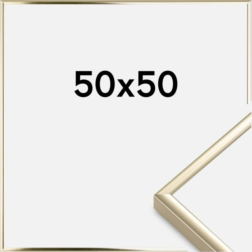 Ramme Aluminium Akrylglass Blank Gull 50x50 Cm