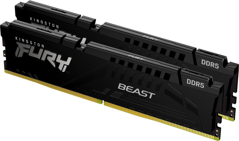 FURY Beast DDR5-5600 - 64GB - CL36 - Dual Channel (2 pcs) - AMD EXPO & Intel XMP - Svart