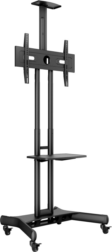 M Public Floorstand Basic