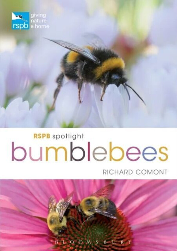 RSPB Spotlight Bumblebees av Richard Comont