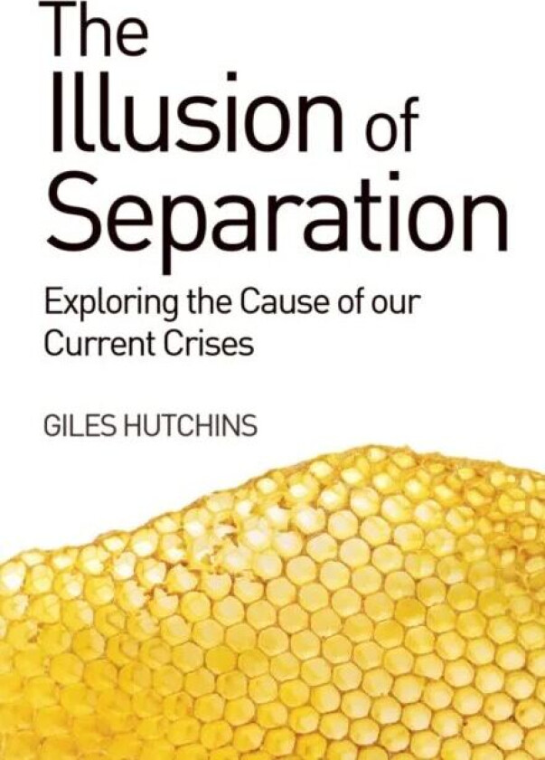 The Illusion of Separation av Giles Hutchins