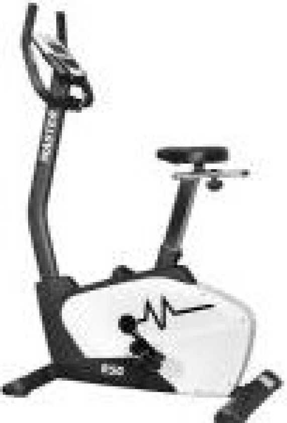 Master Stationary Bike Magnetic R50