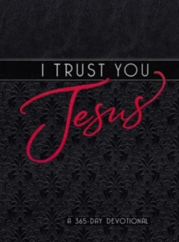 I Trust You Jesus av Broadstreet Publishing Group LLC