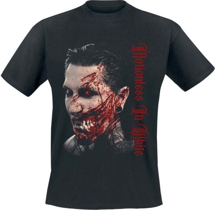 T-skjorte - Decades - S til 5XL - Herrer - svart