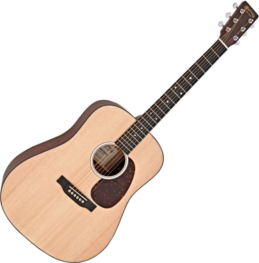 D-10E Road Series Electro Acoustic