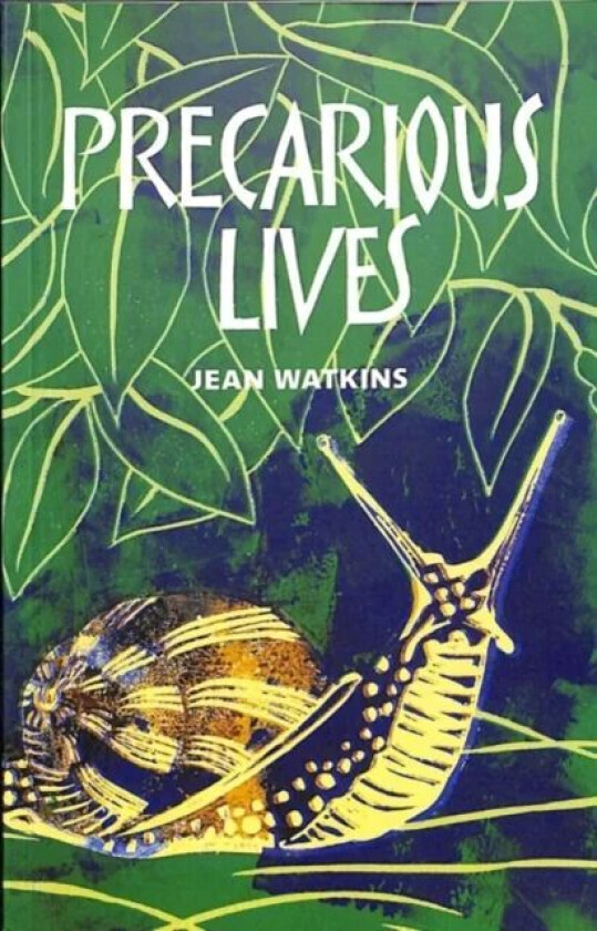 Precarious Lives av Jean Watkins