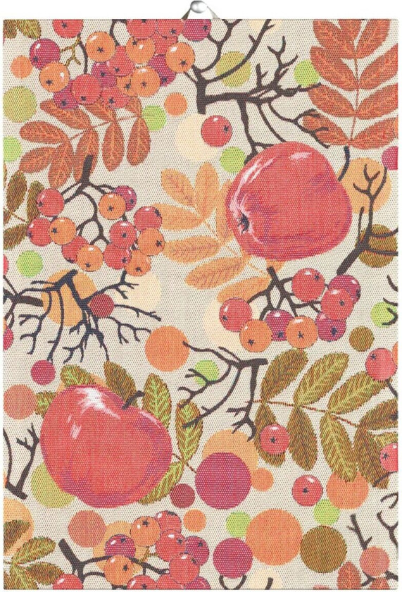 Äppelbär kjøkkenhåndkle 35x50 cm Multi