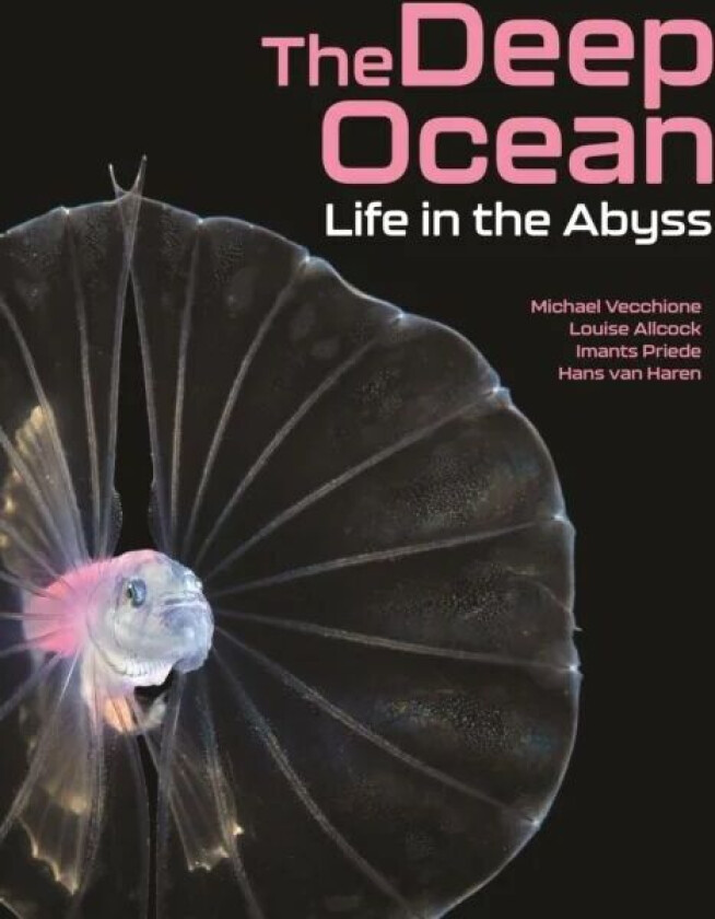 The Deep Ocean av Michael Vecchione, Louise Allcock, Imants Priede, Hans van Haren
