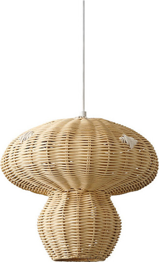 - Allie Pendel Nature