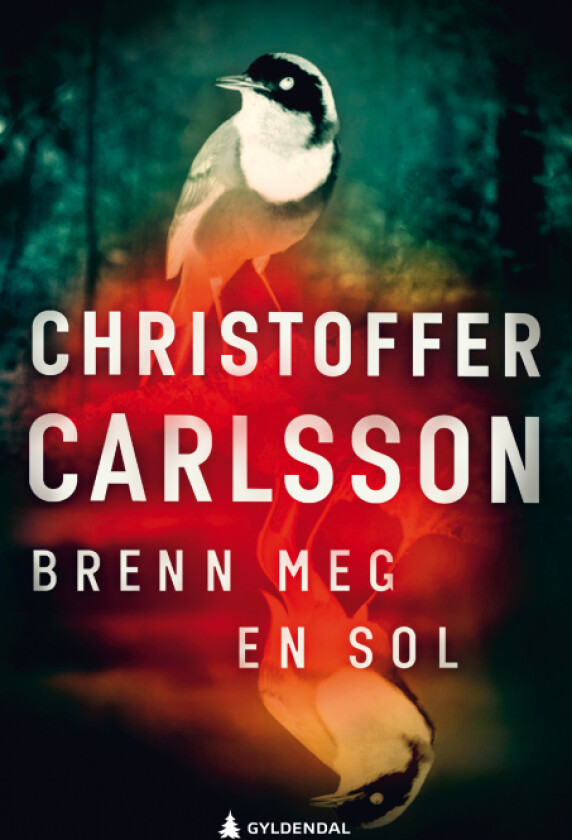 Brenn meg en sol av Christoffer Carlsson