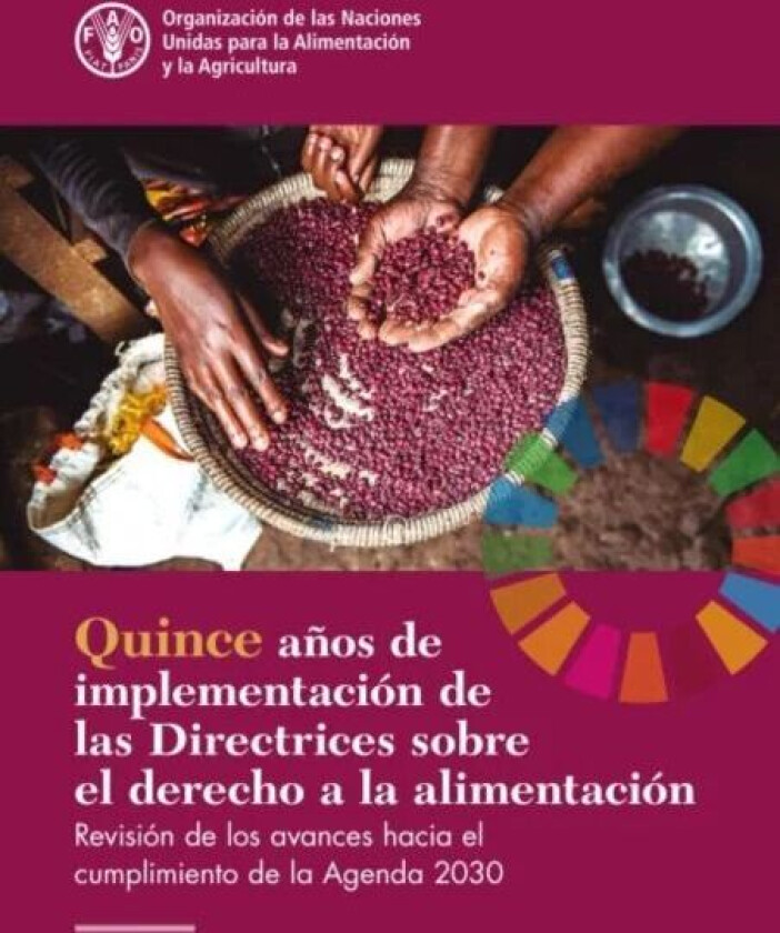 Fifteen Years Implementing the Right to Food Guidelines (Spanish Edition) av Food and Agriculture Organization of the United Nations