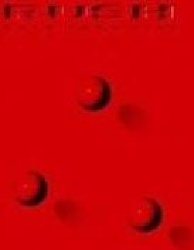 Rush - Hold Your Fire