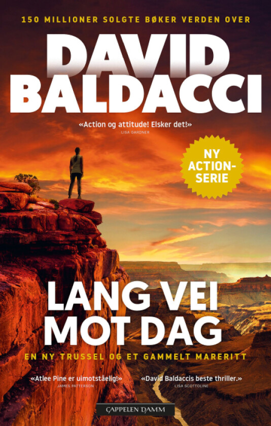 Lang vei mot dag av David Baldacci