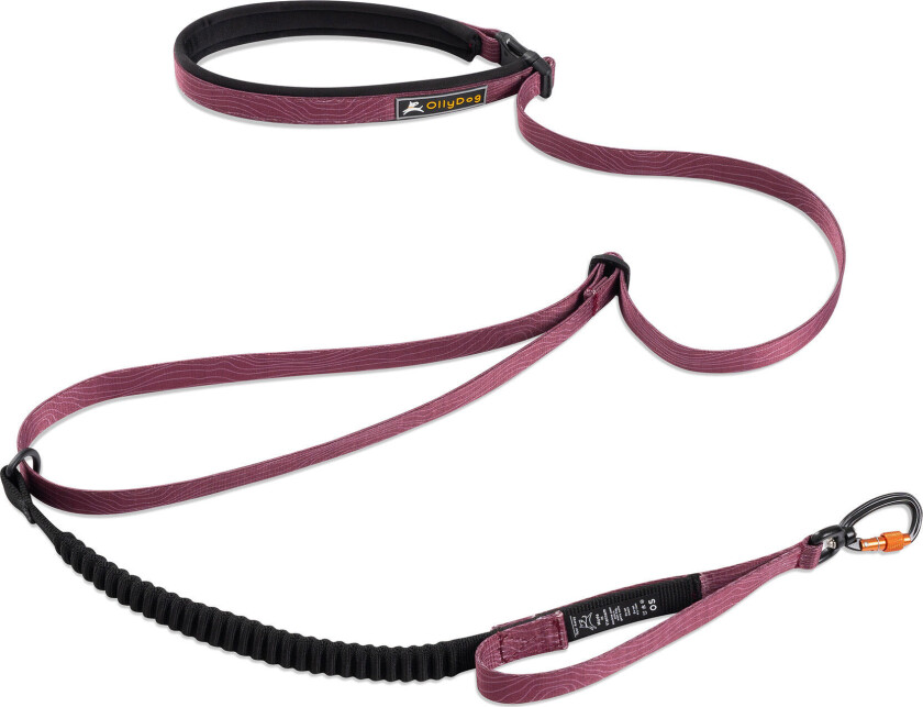 Flagstaff Adjustable Spring Leash Rosewood One Size, Rosewood