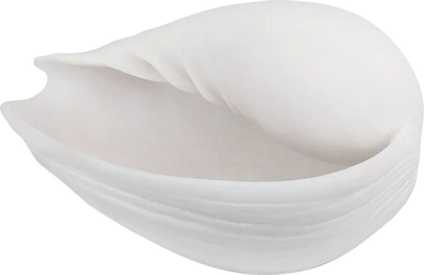 Conch dekorasjon skjell Small